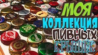 Моя коллекция пивных крышек!