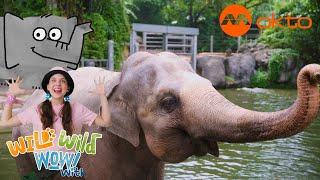 Naughty Noses in the Zoo!  | Wild Wild Wow S1E06A | @mediacorpokto