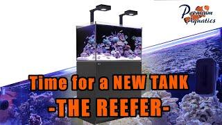 Intro to New Tank Series - Red Sea Reefer 250 Deluxe