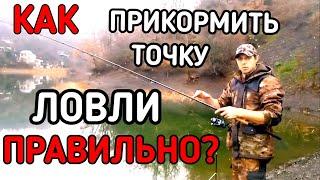 Закорм точки ловли. Как правильно прикормить рыбу. Как прикормить рыбу.