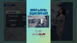 한파가 느껴지는오늘의 종목 날씨 | 마켓웨더 (20241121)
