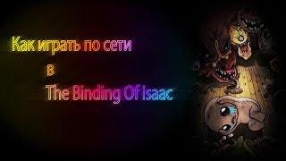 Как играть по сети в The Binding of Isaac: Afterbirth+ (кратко)