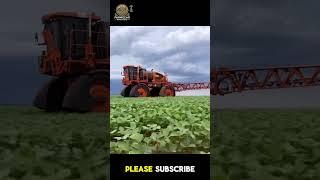 Incredible Cabbage Harvesting Machine Revolutionizes Farming #shorts #agriculturaltechnology