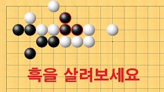 바둑 맥점 사활 - 기상천외 묘수로 흑을 살려보세요