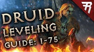 Druid Leveling Build Guide: Diablo 2 Resurrected 2.4 Ladder