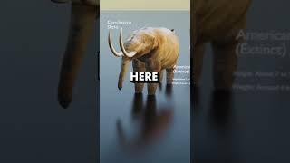 The LARGEST Elephant | 3D Comparison