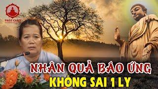 Nhân Quả Báo Ứng Không Sai 1 Ly - Câu chuyện có thật Phật tử Diệu Hiền | Phật Pháp Nhiệm Màu | PGVN