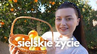 POMARAŃCZE W ZALEWIE, KOLEJNE ZMIANY W DOMU | VLOG | Lavendova