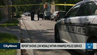 Low morale within Winnipeg Police Service