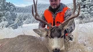 Colorado #muledeer Hunt with Blaze Creek