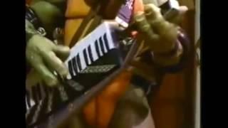 Ninja Turtles Band Shredded Remix