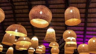 Sunset Groves - Wedding Venue - Open House - Homestead - Miami, FL