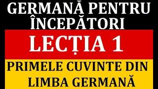 Invata Germana | Germana pentru incepatori | Lectia 1