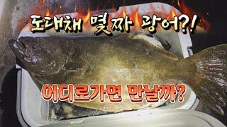 직장인의 퇴근생활 인생최대 광어 여운은?! #해루질, #낚시, #직장인