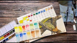 REVIEW: Jackson's Artist Watercolor & Pith Tangelo Sketchbook!