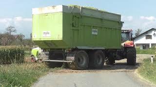 Claas Jaguar 970 Typ 498 mit Orbis 900 Maisvorsatz beim Maishäckseln Maissilage   Corn Silage 2020