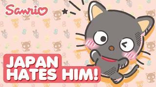 CHOCOCAT Explained — Misunderstood Sanrio Character!