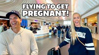 ️ FLYING TO UTAH TO GET PREGNANT  FROZEN EMBRYO TRANSFER IS TOMORROW! BABY BINGHAM PREGNANCY! 