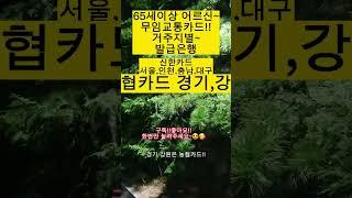 거주지별~무임교통카드발급은행!!#shorts