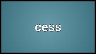 Cess Meaning