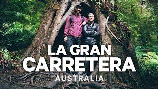 LA GRAN CARRETERA: KOALAS, BOSQUES Y ACANTILADOS