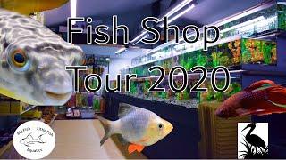 Fish Shop Tour UK | The Water Garden