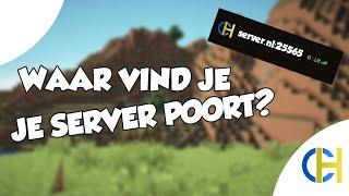 Waar vind ik de poort van mijn server? | ConsulHosting Tutorial