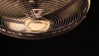 Fanimation Extraordinaire Outdoor Ceiling Fan