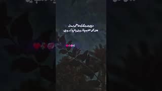 Ye lines ️ #poetry #shayari #love #shorts #viral #video