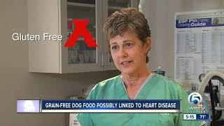 FDA investigates possible link between grain-free dog food & canine heart disease