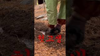 우중캠핑 가장 어이없는 상황;;