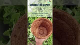 Coir Pots | 100% Biodegradable Planters For Your Home Garden