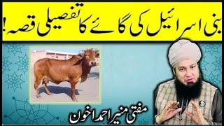 The Enigmatic Cow of Bani Israel | Unveiling a Quranic Mystery | Batool Reacts