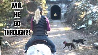 HORSES in pitch black tunnels!  This trail ride was WILD!