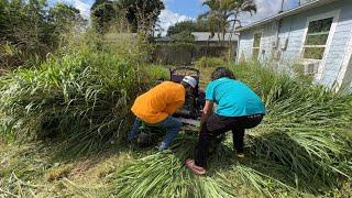 LAZY grandson REFUSED to mow his GRANDMAS NIGHTMARE of yard so I did it for FREE!!