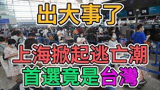 上海掀起逃亡潮，中國富人對政府已忍無可忍，連人帶錢全部撤離大陸！首選目的地竟是台灣！ | 窺探家【爆料频道】