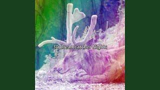 Nights Air