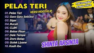 Shinta Arsinta - PELAS TERI - GARA GARA SEBOTOL MINUMAN || FULL DANGDUT KOPLO 2024