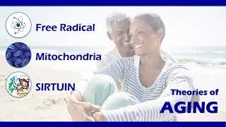 LIFEVANTAGE Protandim Activators: Nrf2, NRF1 & NAD ( 3 Theories of Aging )