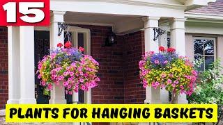 Top 15 Sun-Loving Plants for Hanging Baskets  SUN-LOVING BEAUTIES 