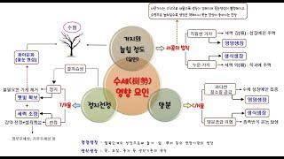 과수재배 기초 2편 - 과수재배의 핵심은?