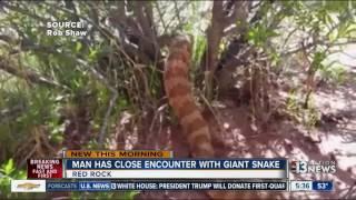 Red Rock hiker catches deadly snake on video