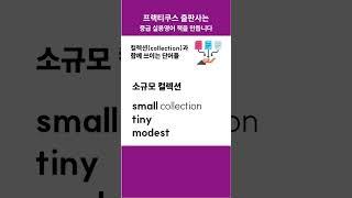 collection과 함께 쓰이는 단어들 #콜로케이션 #프랙티쿠스 #중급영어 #collocation