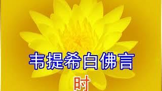 《佛说观无量寿佛经》善音居士念诵（简体版）