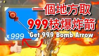 【薩爾達傳說：曠野之息】一個獲得999枝的爆炸箭的地方（舊