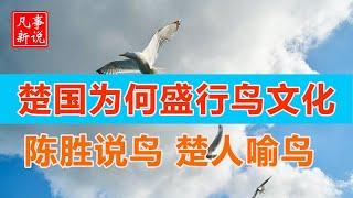 陈胜说鸟，楚国鸟文化为什么盛行？[ 凡事新说 | 小新 ]