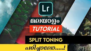 Learn Adobe Lightroom Mobile Malayalam | Understanding Split Tone | The TechTalks |