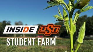 Inside OSU: Student Farm