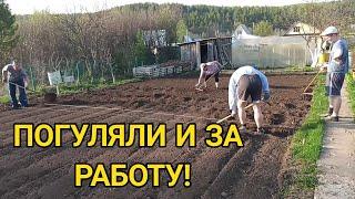 16 соток требуют работы! Семейный дачный влог.