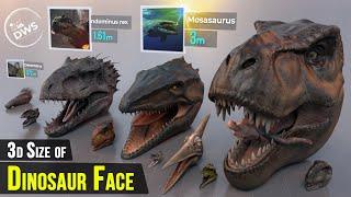 DINOSAUR FACE ► Size Comparison (Smallest to Biggest )